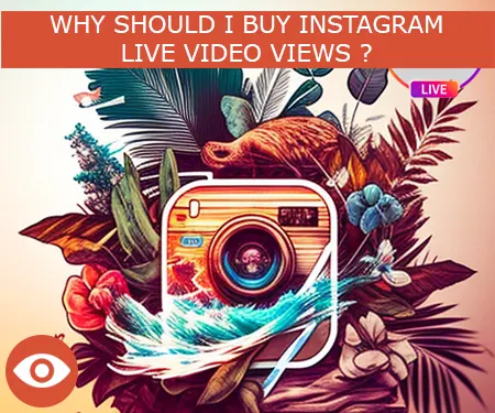 WHY SHOULD I BUY INSTAGRAM LIVE VIDEO VIEWS ?