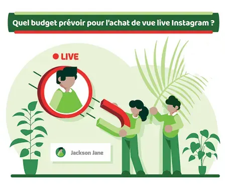 Quel budget prévoir pour l’achat de vue live Instagram ?