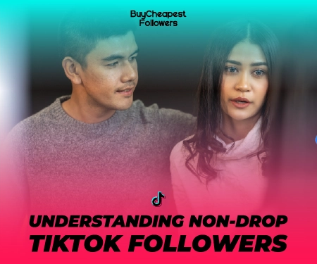 Understanding Non-Drop TikTok Followers Understanding Non-Drop TikTok Followers