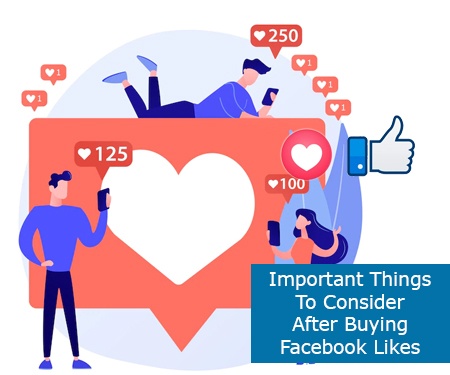 Important Things To Consider After Buying Facebook Likes
