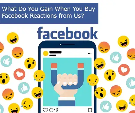 What Do You Gain When You Buy Facebook Reactions from Us?