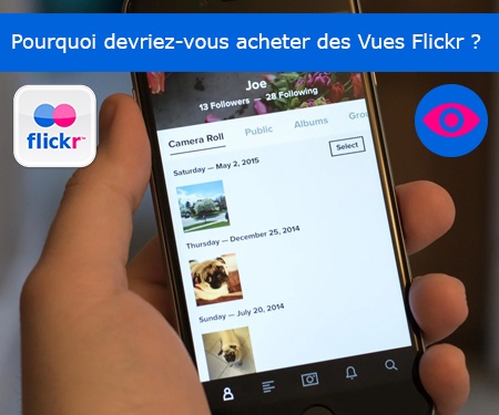 Pourquoi devriez-vous acheter des Vues Flickr ?
