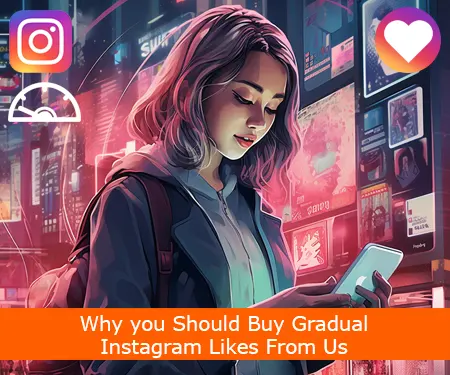 Why you Should Buy Gradual Instagram Likes From Us