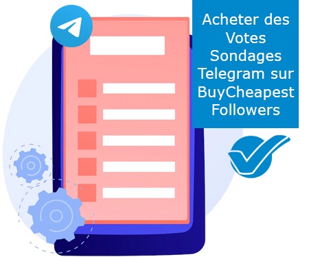 Acheter des Votes Sondages Telegram sur BuyCheapestFollowers