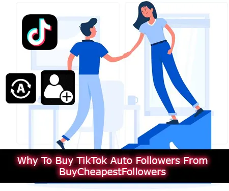Why To Buy TikTok Auto Followers From BuyCheapestFollowers