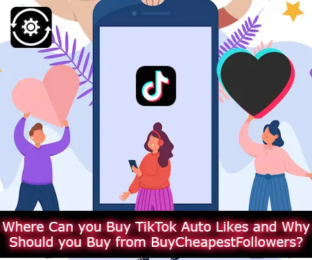 Where Can you Buy TikTok Auto Likes and Why Should you Buy from BuyCheapestFollowers?