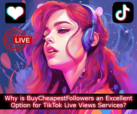 Why is BuyCheapestFollowers an Excellent Option for TikTok Live Views Services?