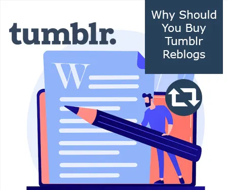 Why Should You Buy Tumblr Reblogs