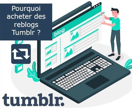 Pourquoi acheter des reblogs Tumblr ?