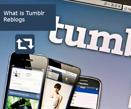 What is Tumblr Reblogs