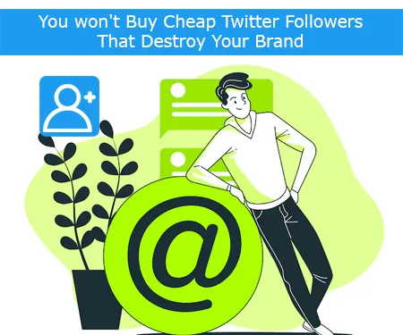 You won't Buy Cheap Twitter Followers That Destroy Your Brand