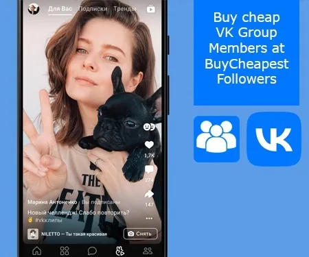 Buy cheap VK Group Members at BuyCheapestFollowers