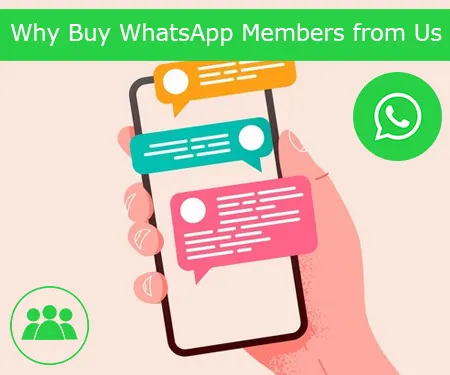 Why Buy WhatsApp Members from Us
