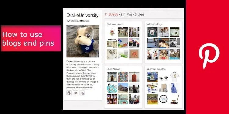 How to use blogs and pins