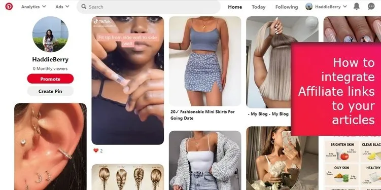How to integrate Affiliate links to your articles