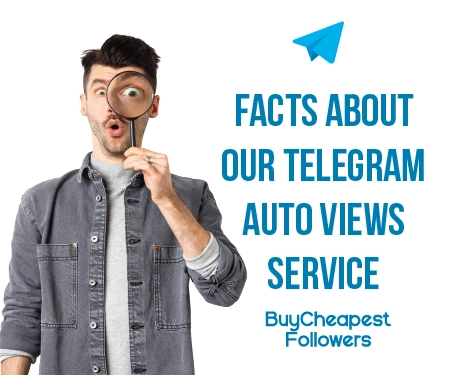 Facts about Our Telegram Auto Views Service Facts about Our Telegram Auto Views Service