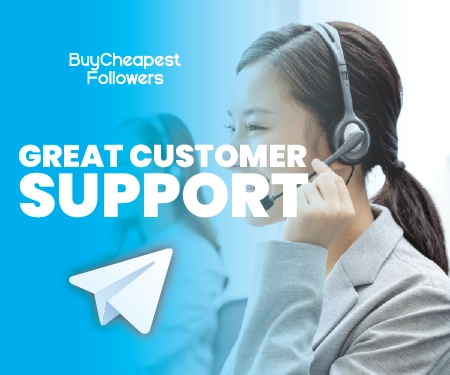 Great customer support Great customer support