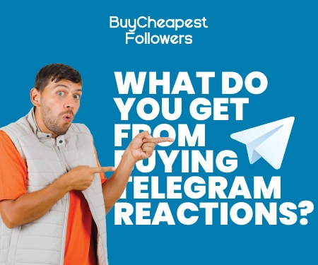 What Do You Get from Buying Telegram Reactions? What Do You Get from Buying Telegram Reactions?