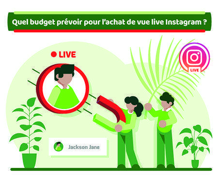 Quel budget prévoir pour l’achat de vue live Instagram ?