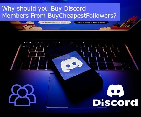 Why should you Buy Discord Members From BuyCheapestFollowers?