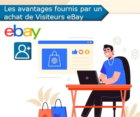 Les avantages fournis par un achat de Visiteurs eBay