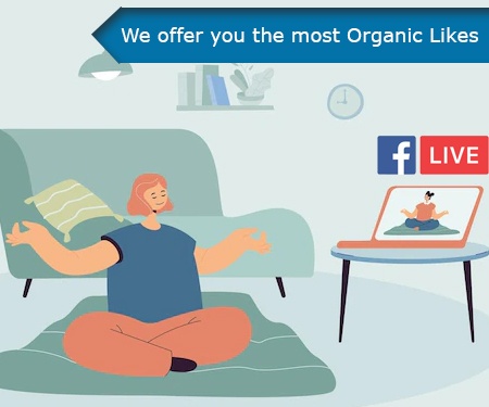 We offer you the most Organic Likes