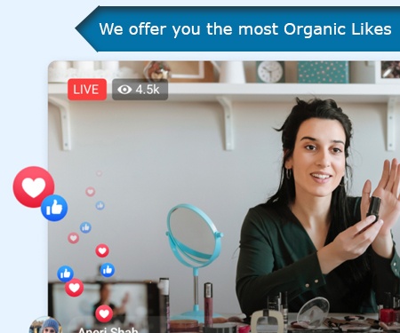 We offer you the most Organic Likes