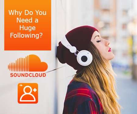 Why Do You Need a Huge Following?