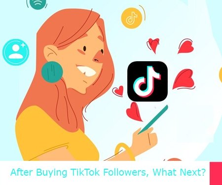 After Buying TikTok Followers, What Next?