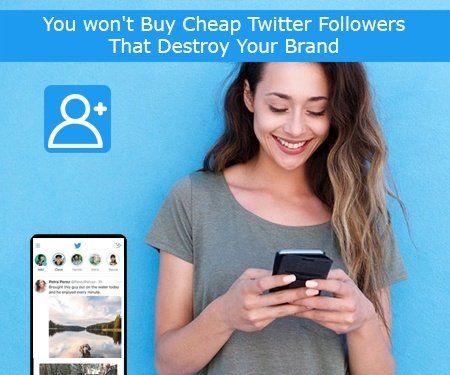 You won't Buy Cheap Twitter Followers That Destroy Your Brand