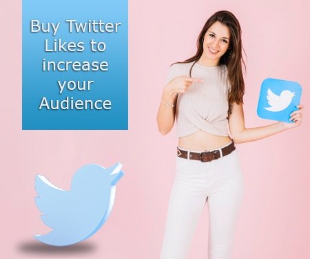 Buy Twitter Likes to increase your Audience