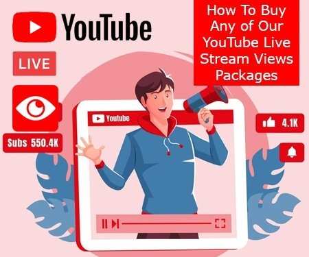 How To Buy Any of Our YouTube Live Stream Views Packages